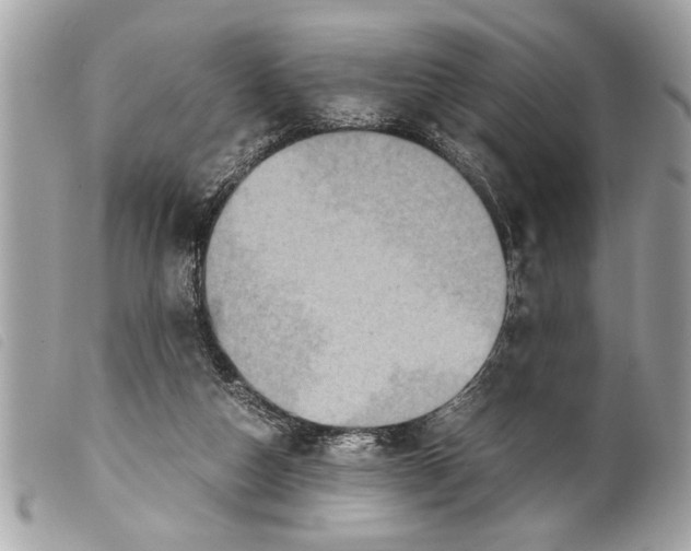 X0000099290162200805301119