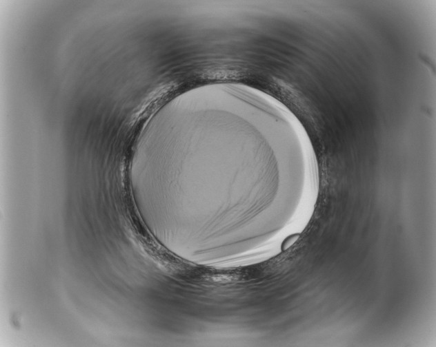 X0000099290163200805301119
