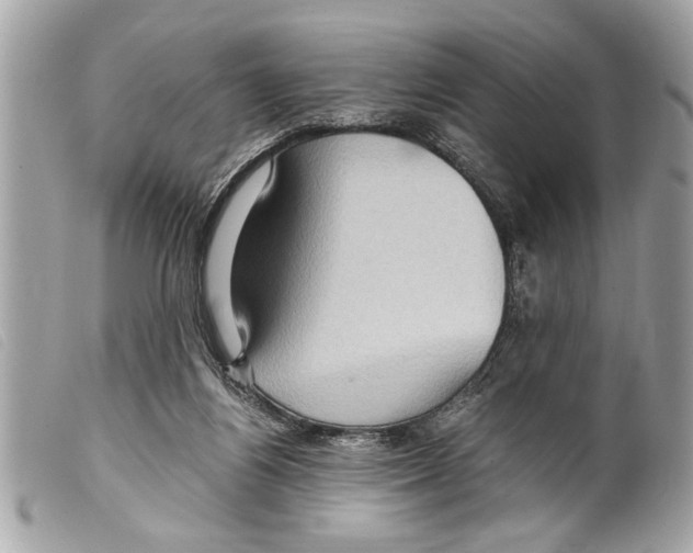 X0000099290164200805301119