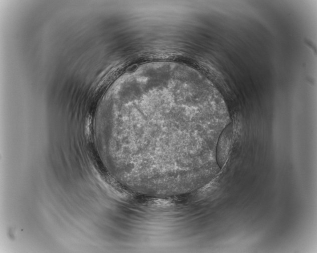 X0000099290166200805301119