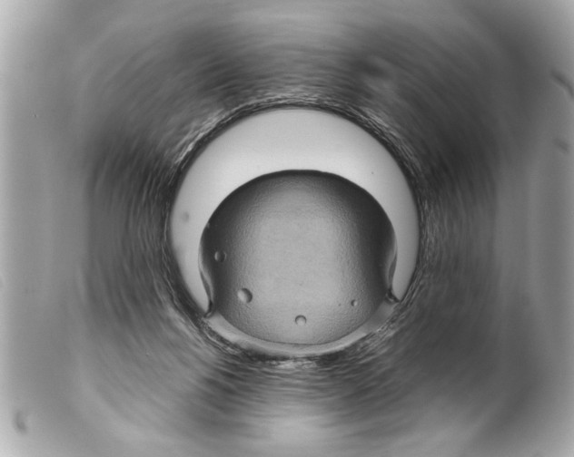 X0000099290168200805301119