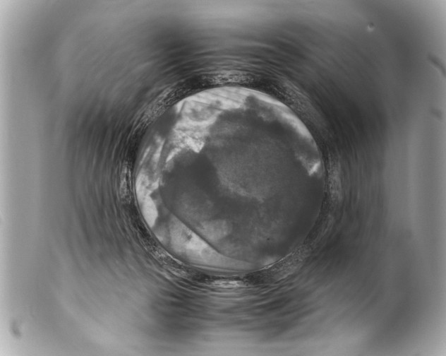 X0000099290169200805301119