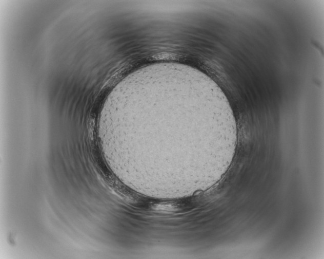 X0000099290171200805301119