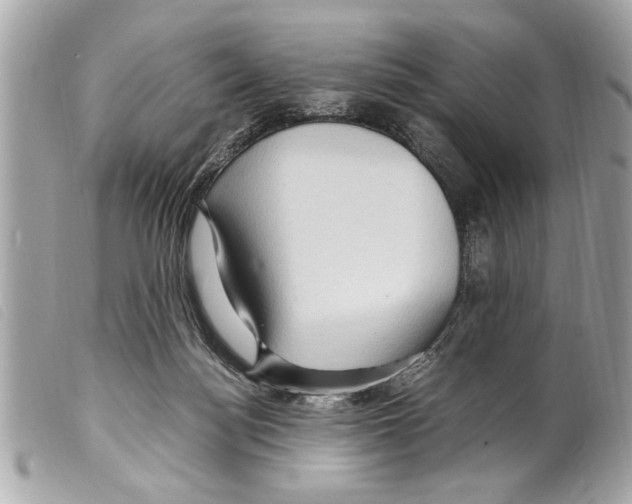 X0000099290172200805301119