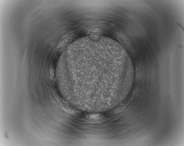 X0000099290173200805301119