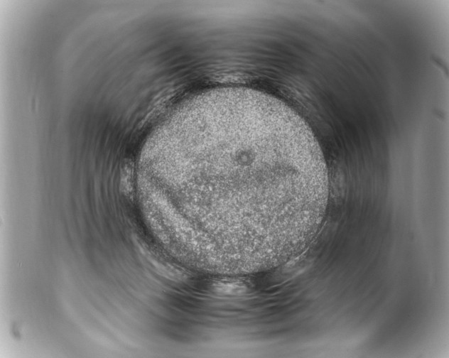 X0000099290175200805301119