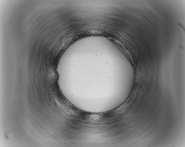 X0000099290176200805301120