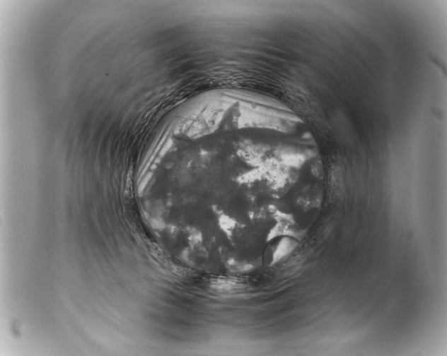 X0000099290177200805301120