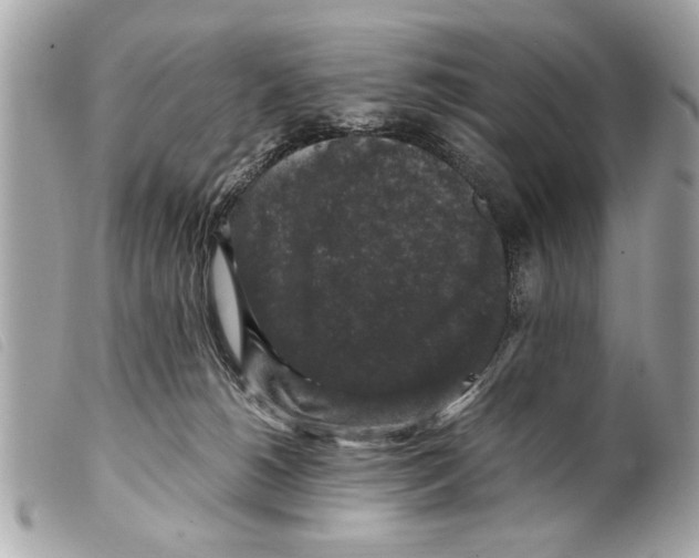 X0000099290180200805301120
