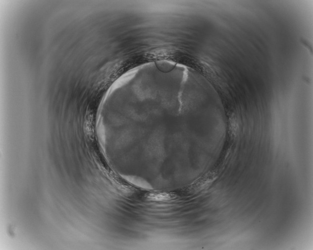 X0000099290181200805301120