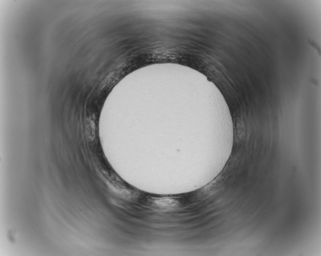 X0000099290183200805301120