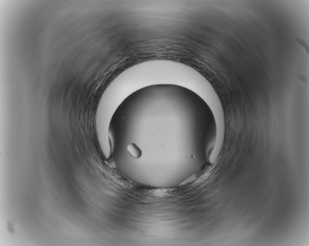 X0000099290184200805301120