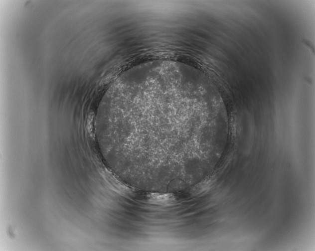 X0000099290185200805301120