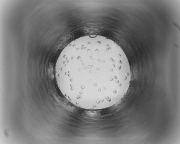 X0000099290187200805301120