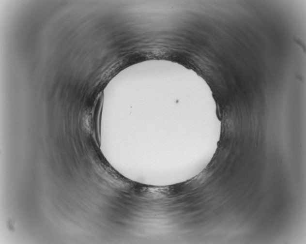 X0000099290188200805301120