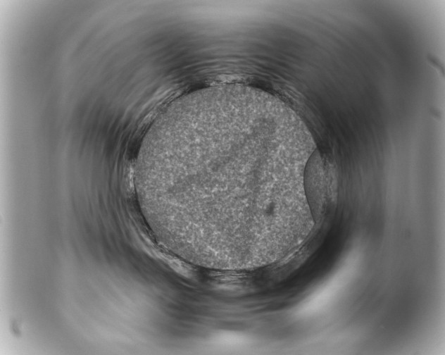 X0000099290191200805301120