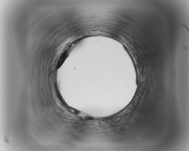 X0000099290193200805301119