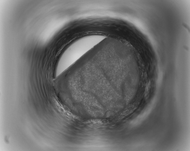 X0000099290194200805301119