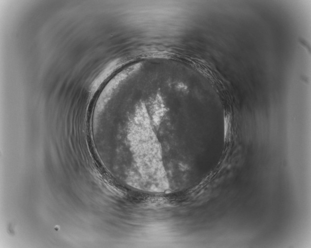 X0000099290195200805301119