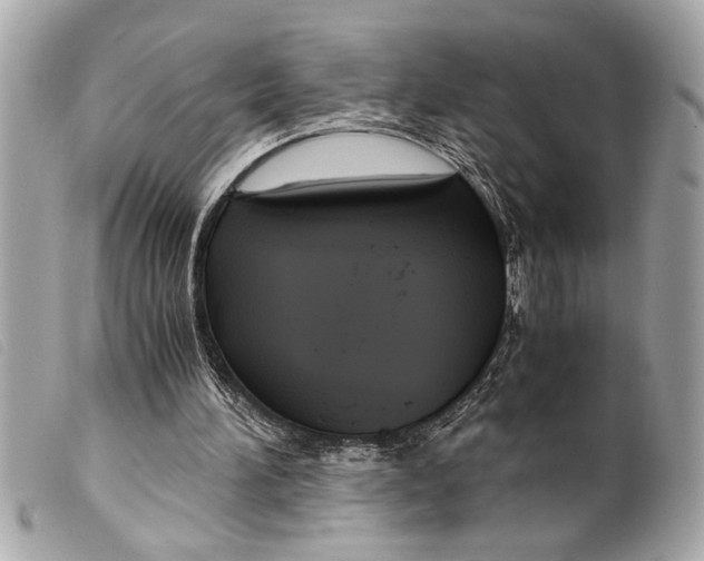 X0000099290196200805301119