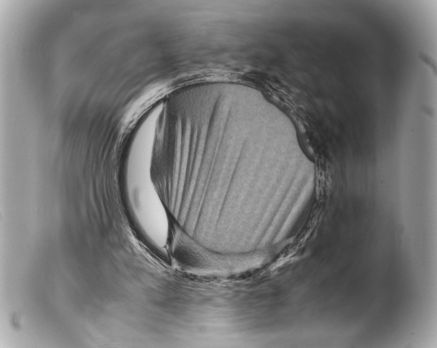 X0000099290197200805301119