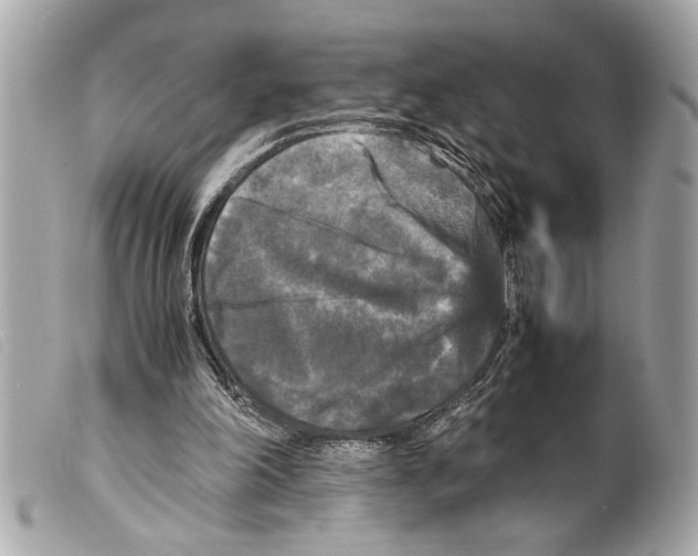 X0000099290198200805301119