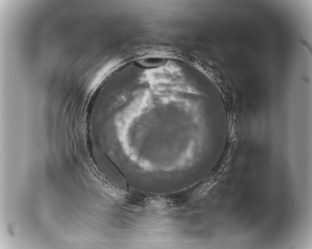 X0000099290199200805301119
