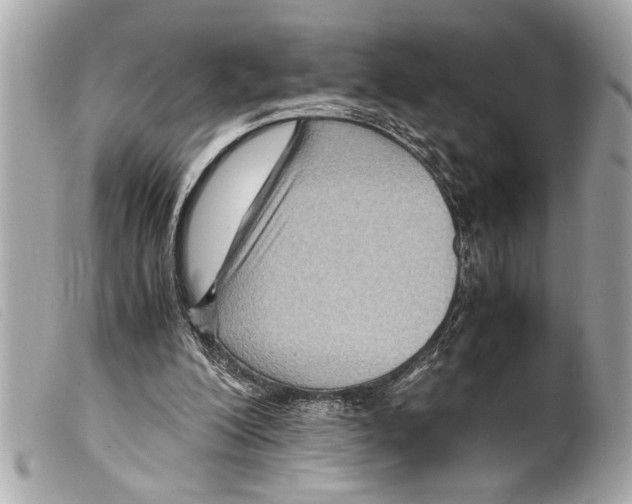X0000099290200200805301119