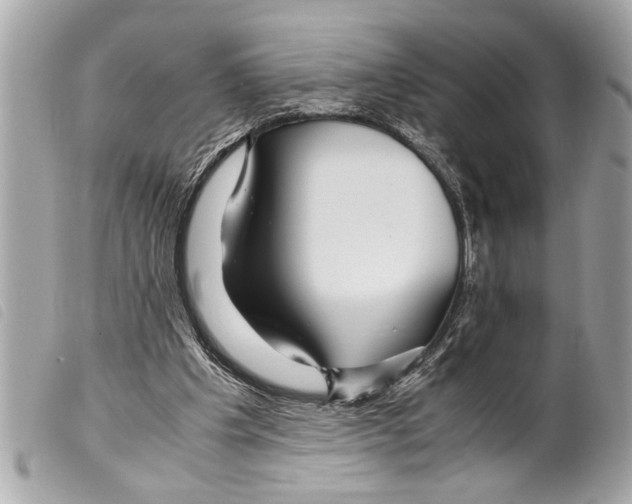 X0000099290201200805301119