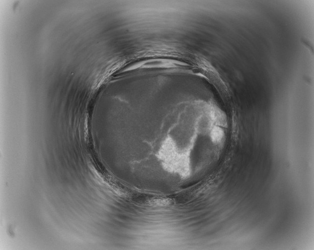 X0000099290202200805301119