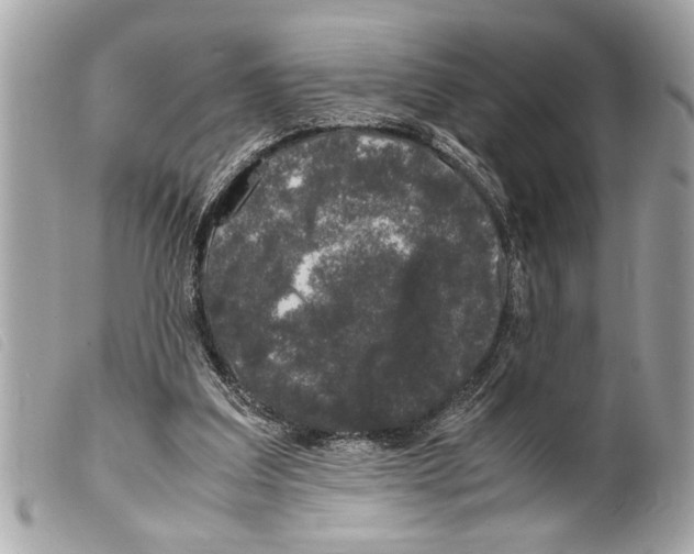 X0000099290203200805301119