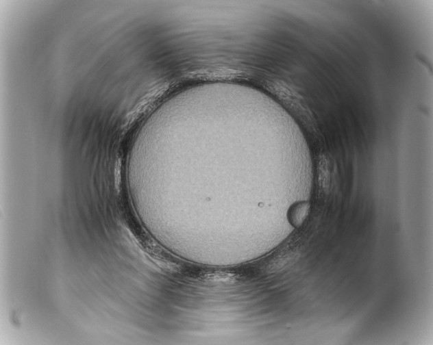 X0000099290206200805301119