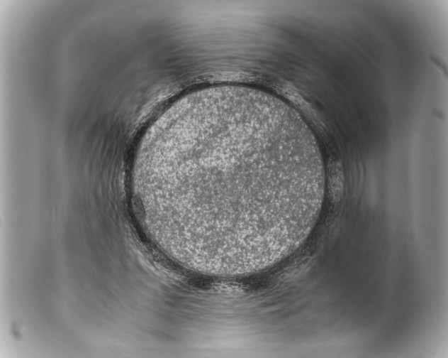 X0000099290207200805301119