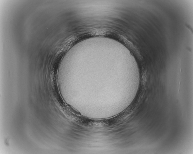 X0000099290209200805301119