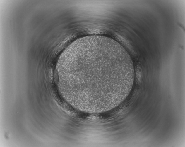 X0000099290211200805301119