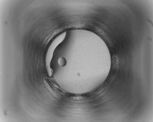 X0000099290212200805301119