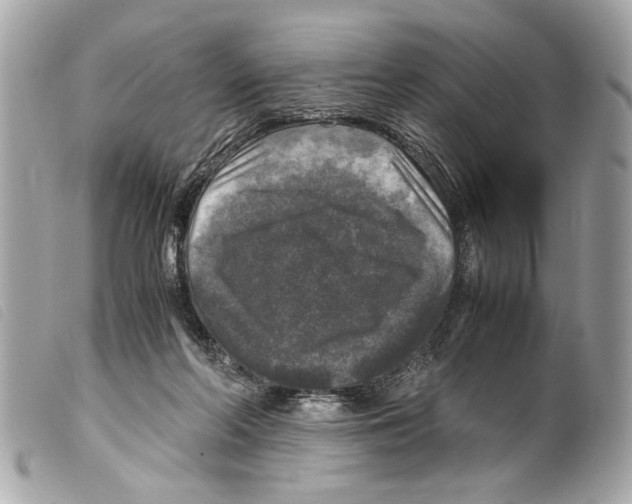 X0000099290214200805301119