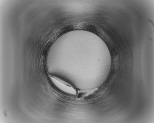 X0000099290217200805301119