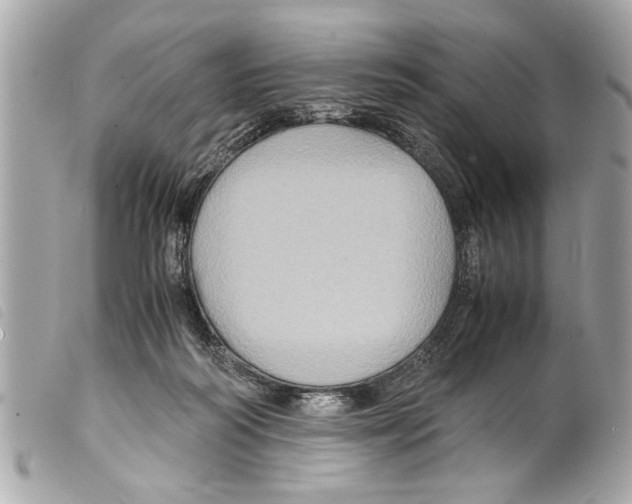 X0000099290218200805301119