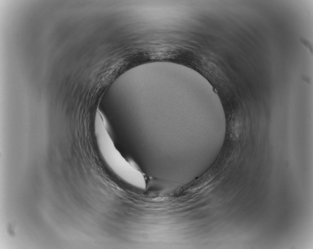 X0000099290219200805301119