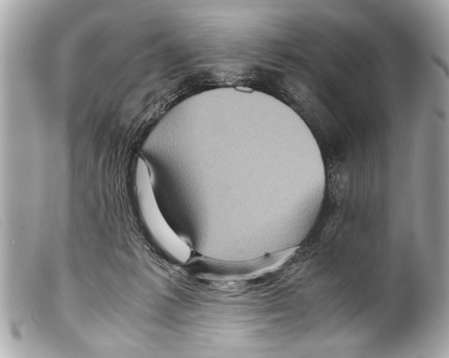 X0000099290221200805301119