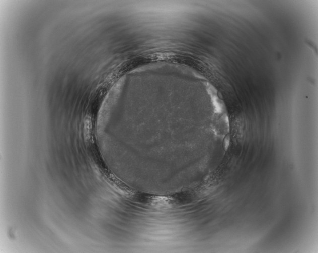 X0000099290222200805301119