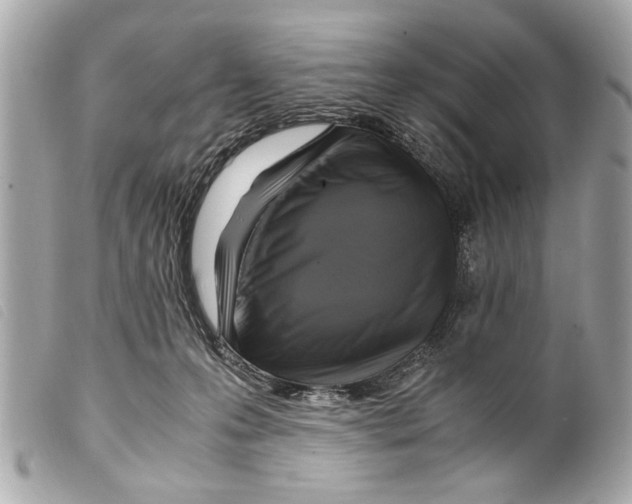 X0000099290223200805301119