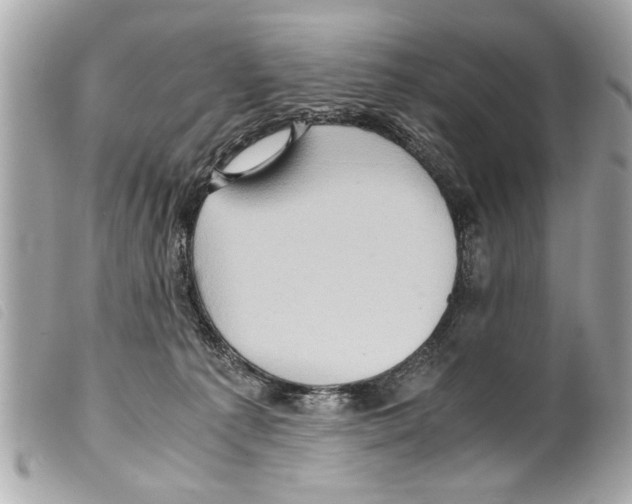 X0000099290225200805301119