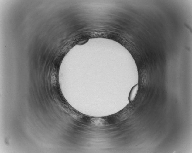 X0000099290226200805301119