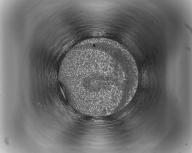 X0000099290228200805301119