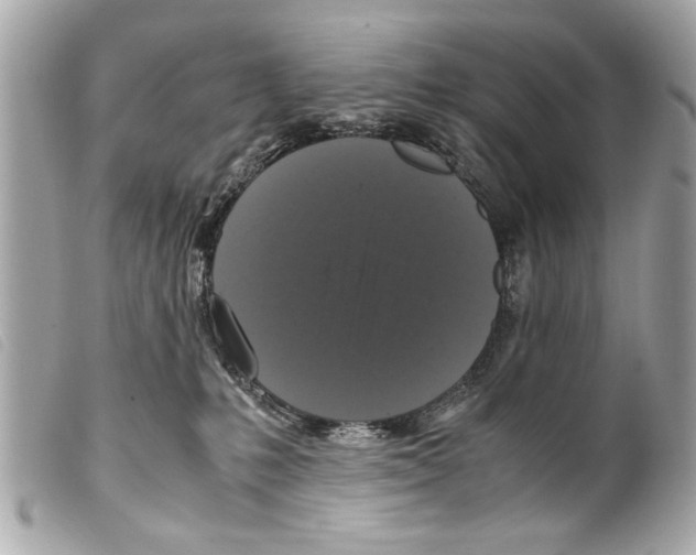 X0000099290231200805301118