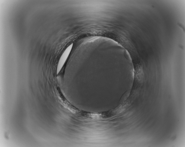 X0000099290233200805301118