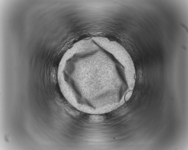 X0000099290234200805301118