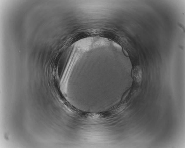 X0000099290235200805301118